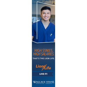 Wallace_Lion-Life-23_Display_Healthcare_160x600